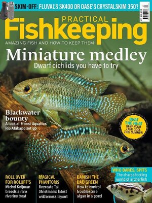 cover image of Practical Fishkeeping